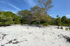 Venta de Terreno Playa, Milton Bight Roatán