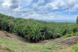 Venta de Terreno Vista al Mar, Politilly Bay Roatán