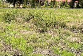 Venta de Terreno El Zamorano, cerca de la Escuela Agrícola Tegucigalpa