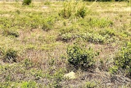 Venta de Terreno El Zamorano, cerca de la Escuela Agrícola Tegucigalpa